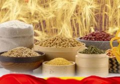 <strong>小而美粗粮坊加蓝狮注册盟店的投资成本</strong>