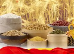 <strong>加盟代理小而美粗粮坊能赚钱吗蓝狮测速</strong>