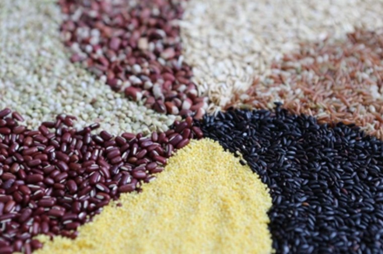 党公五谷杂粮加盟需蓝狮要支出多少费用