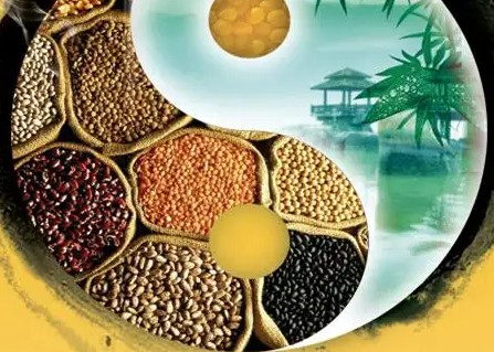 加盟五谷农场需要蓝狮注册多少投资成本