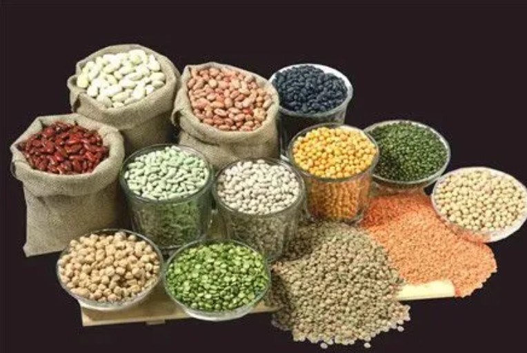 蓝狮登录党公五谷杂粮代理能赚钱吗