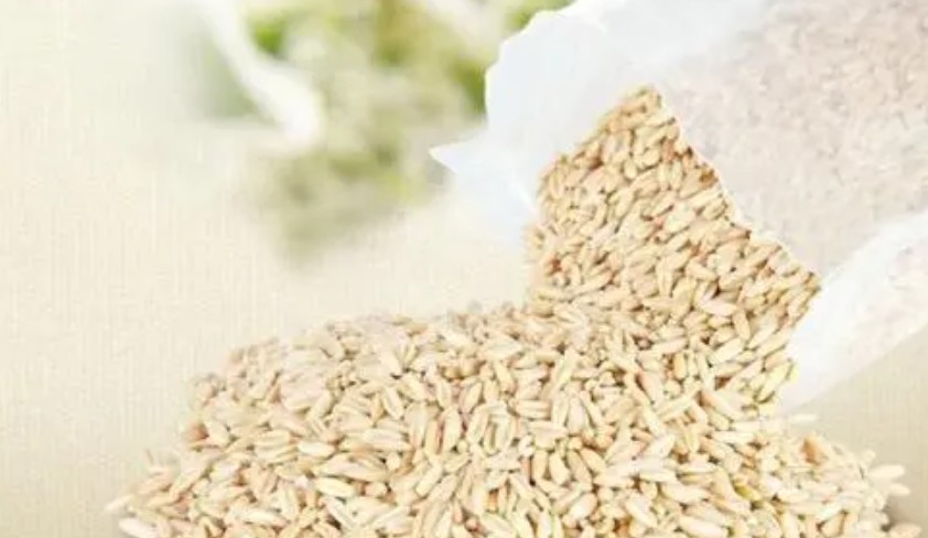 爱吖吖胚芽米加盟代蓝狮平台理如何