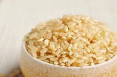 <strong>蓝狮开户注册吖胚芽米品牌加盟需要投入</strong>