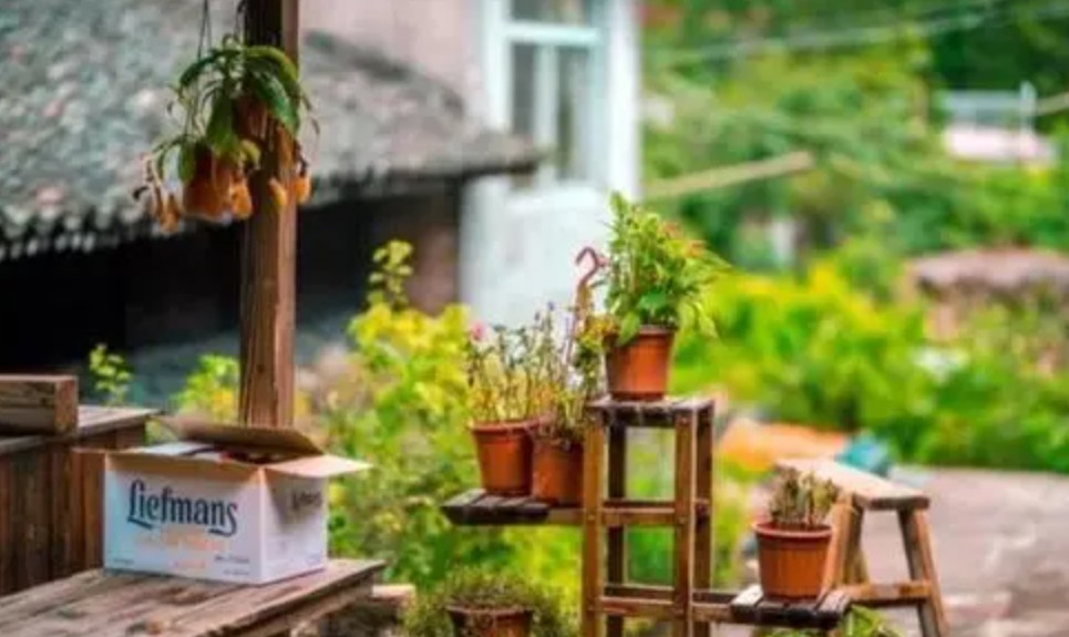 蓝狮登录Fantoast源于对生活的热爱