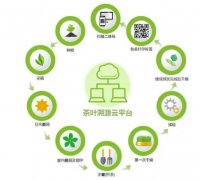 <b>蓝狮登录饮茶溯源</b>