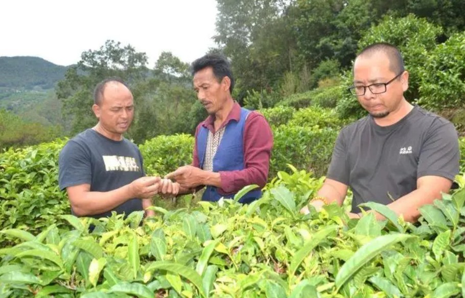 蓝狮平台注册登录,蓝狮登录地址