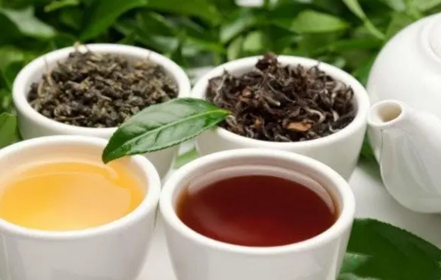 冬季比较适合喝乌蓝狮注册龙茶或红茶