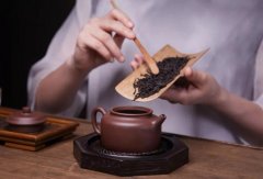 <strong>壶具与泡茶蓝狮平台的关系</strong>