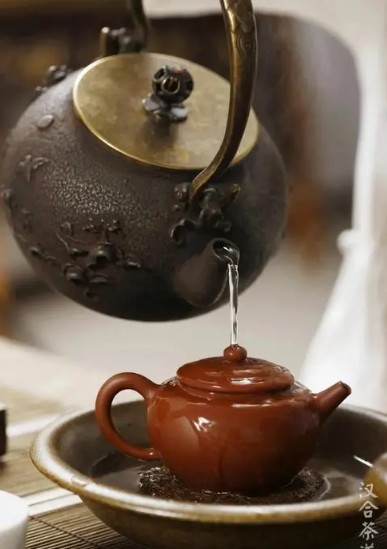 蓝狮登录好茶好具品出茶滋味