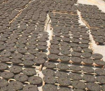 蓝狮黑茶的制造工艺