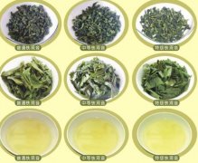 <strong>蓝狮平台铁观音的鉴定</strong>