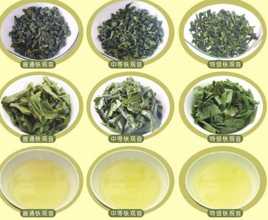 蓝狮平台铁观音的鉴定