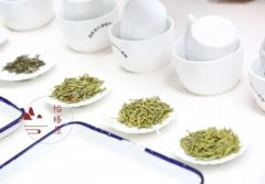 <b>蓝狮登录茶叶的感官鉴别要点</b>