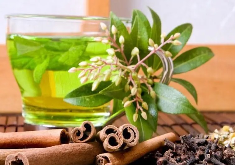 茶叶的用途蓝狮注册