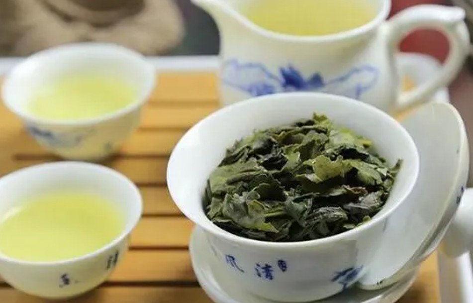 蓝狮登录铁观音乌龙茶的饮泡方法