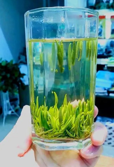 绿茶之开蓝狮注册化龙顶