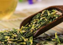 <b>我家与苦丁蓝狮平台茶的不解情缘！</b>